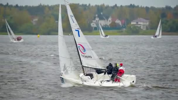 Jacht łódź regaty żeglarskie wyścigi pontonem — Wideo stockowe