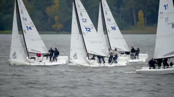 Veleiro Regata barco Yachting Corrida Dinghy — Vídeo de Stock