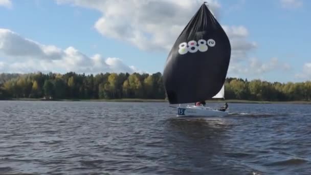 Segelboot Regatta Yachtsport Rennjolle — Stockvideo