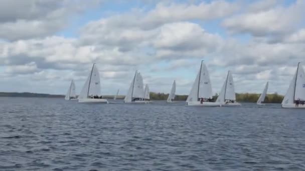 Veleiro Regata barco Yachting Corrida Dinghy — Vídeo de Stock