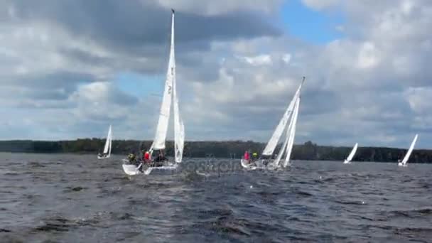 Veleiro Regata barco Yachting Corrida Dinghy — Vídeo de Stock