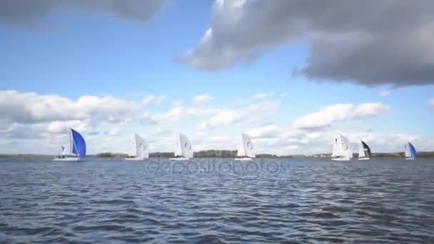 Sailing Boats Navigating Fast During Regatta — Stock Video