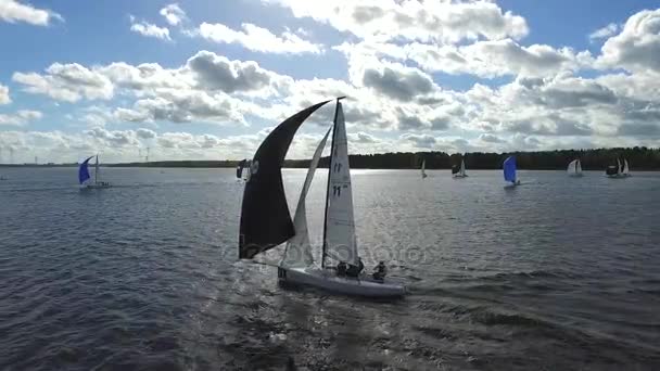 Aerial View Sailboat Boat Regatta Yachting Racing Dinghy — Stock Video