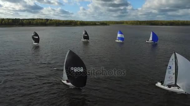 Vista aerea Barche a vela Racing Regatta — Video Stock