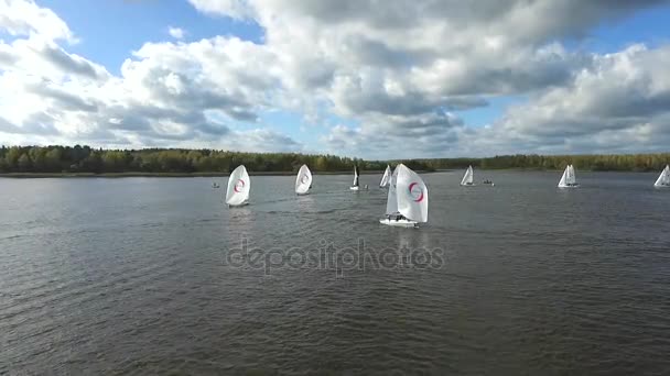 Aerial View Sailboat Boat Regatta Yachting Racing Dinghy — Stock Video