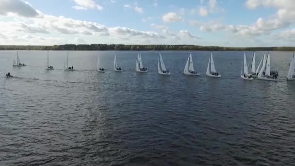 Vista aérea Veleiros Regata Corrida — Vídeo de Stock