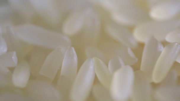 Beyaz pirinç. Pirinç dolu Hd tahıllar — Stok video