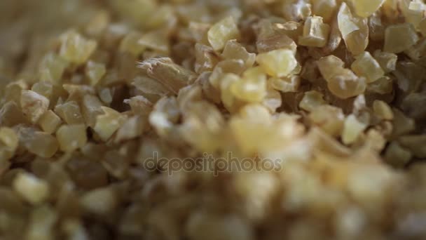 Grano di Grano. Agricoltura, particelle — Video Stock