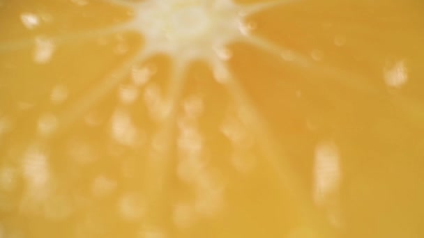 Cut Lemon Macro. Lemon Slices — Stock Video