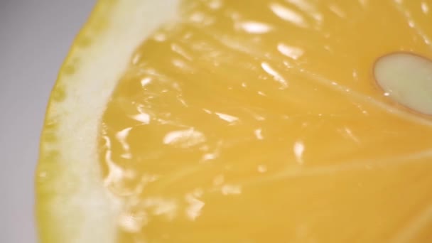 Coupe Lemon Macro. Tranches de citron — Video