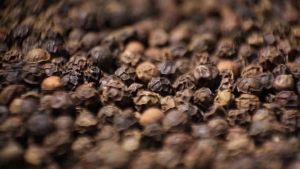 Black Pepper Spice. Dry Black Pepper — Stock Video