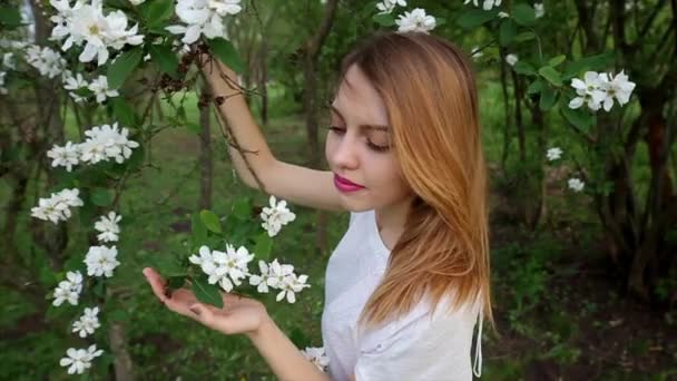 Όμορφη νεαρή γυναίκα χαλαρώνοντας σε ένα υπέροχο δάσος — Αρχείο Βίντεο