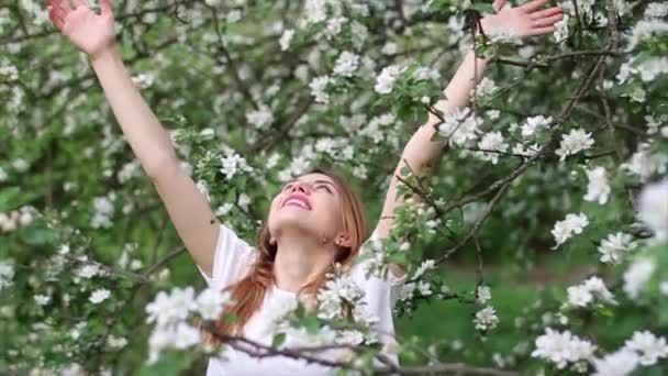 Bela jovem mulher relaxante em um maravilhoso floresta — Vídeo de Stock