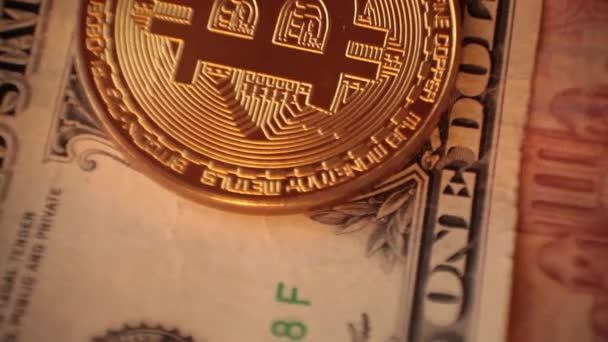 CRIPTO waluty Bitcoin monet Spin. Nam Dolar, Euro — Wideo stockowe