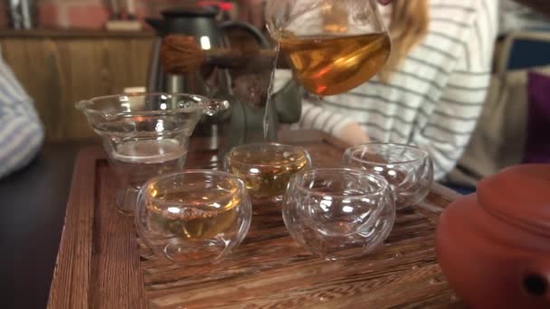 Volwassene groep vrienden drinken Puerh thee — Stockvideo