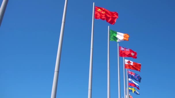 Bandeira China Irlanda Bermudas Tonga Nova Zelândia Eslovénia Suécia Zimbabué — Vídeo de Stock