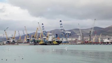 Kargo Limanı. Karadeniz. Novorossiysk Rusya