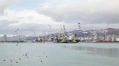 Kargo Limanı. Karadeniz. Novorossiysk Rusya