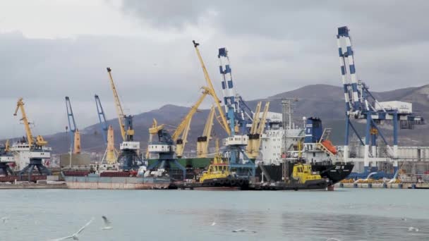 Porto de carga. Mar Negro. Novorossiysk Rússia — Vídeo de Stock