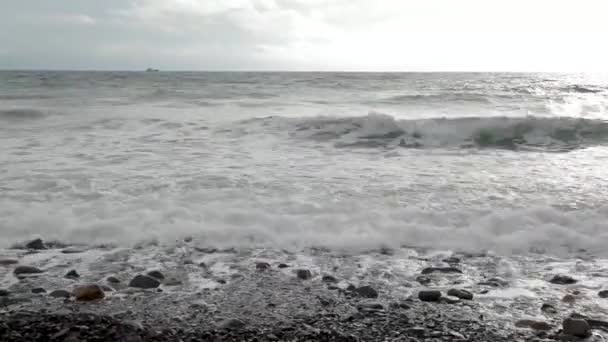 Botellas de plástico de la playa y en el mar. Mar Negro, Tuapse, Rusia — Vídeos de Stock