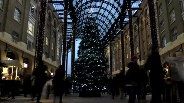 El lapso de tiempo. Noche en Londres. Guirnaldas brillantes en el gran árbol de Navidad . — Vídeo de stock