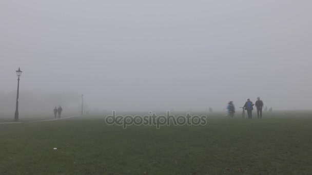 El lapso de tiempo. Campo verde y la acera. La gente sale de la niebla . — Vídeos de Stock