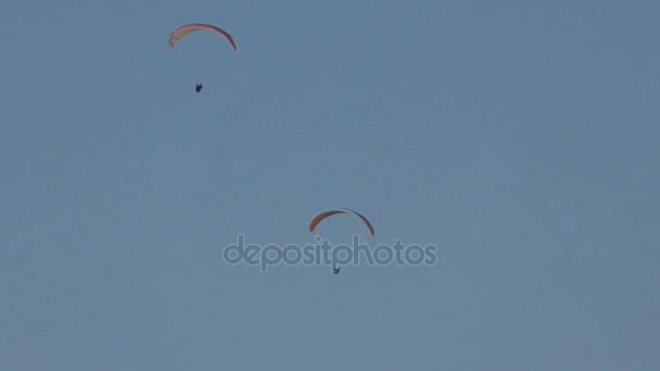 Som flyger en paraglider. — Stockvideo