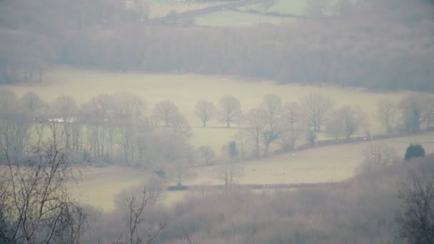 Fields and forests of southern England. — Stock Video