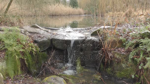 El arroyo fluye desde el lago sobre piedras . — Vídeos de Stock