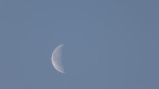 Time lapse. Morning moon on a blue sky. — Stock Video