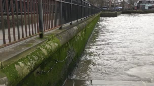 Die Wellen der Themse. Flussufer. — Stockvideo