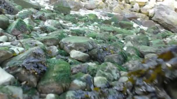 Stenar på stranden av viken. — Stockvideo