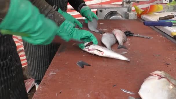 Una pescadería. El proceso de limpieza de peces . — Vídeos de Stock