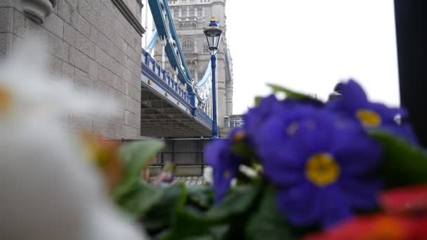 Flores brillantes. Puente de piedra antiguo . — Vídeo de stock