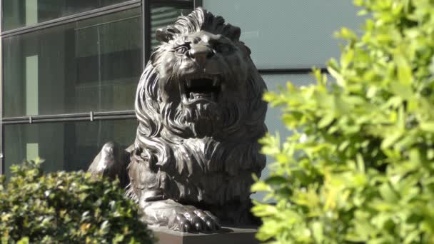 Escultura de piedra de un león rugiente . — Vídeo de stock