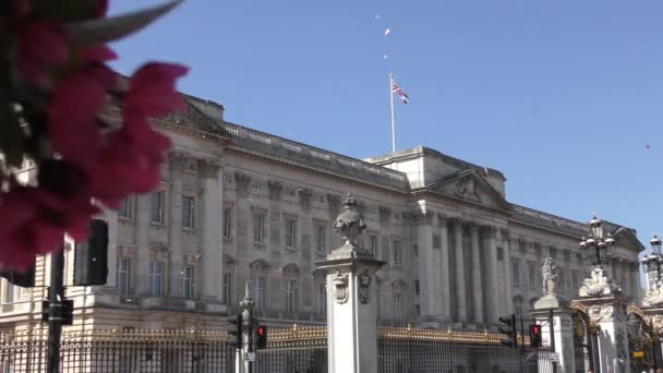 Pétalos cayendo frente al Palacio de Buckingham . — Vídeos de Stock