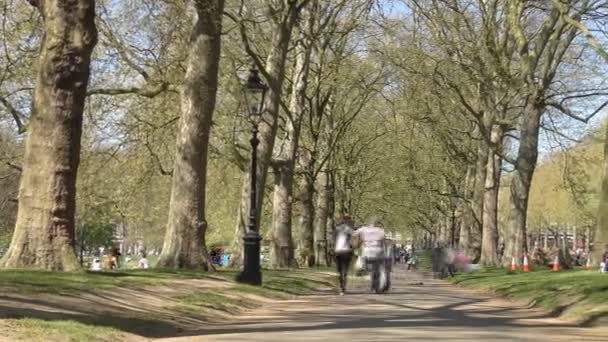 El lapso de tiempo. Paseo en el parque de la ciudad . — Vídeos de Stock