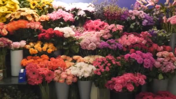 Verschillende soorten bloemen in de winkel. — Stockvideo