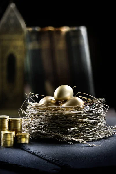 Pension Nest Concept — Stock Photo, Image