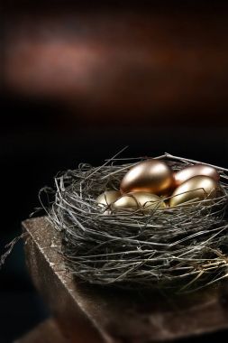 Gold Pension Nest