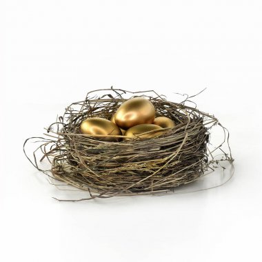 Emeklilik Nest yumurta beyaz