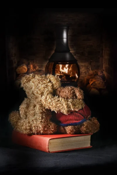 Teddy Bear Fire Watching — Stock Photo, Image