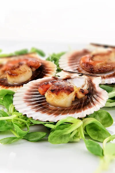 Grilled King Scallops — Stock Photo, Image