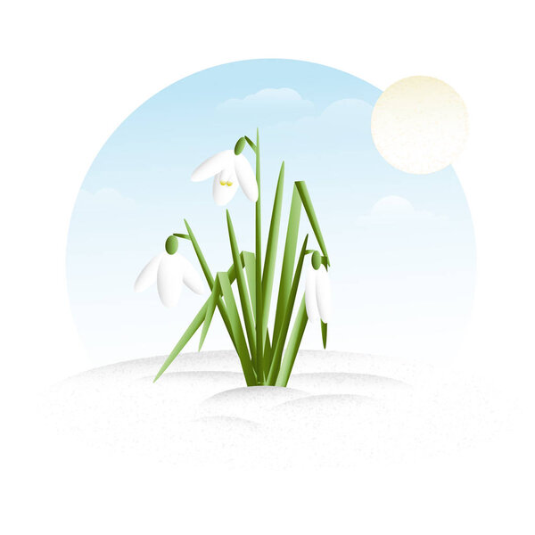 Snowdrops - minimalistic flat design illustration