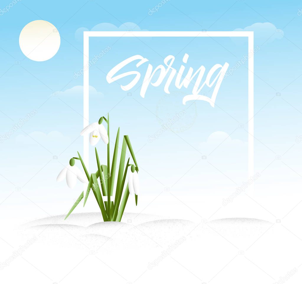 Spring vector grass background
