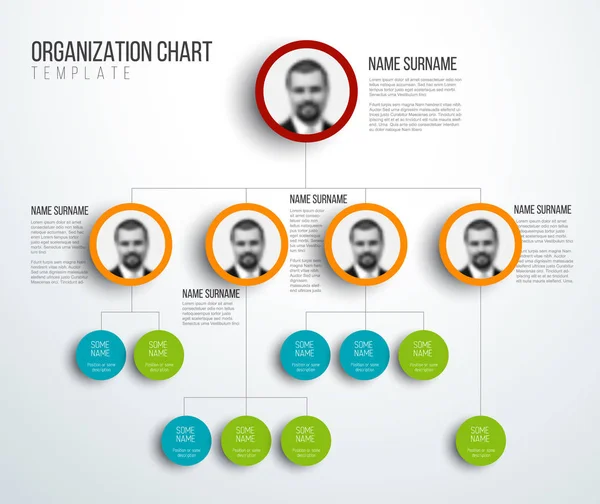 Grafico gerarchico minimalista con foto — Vettoriale Stock