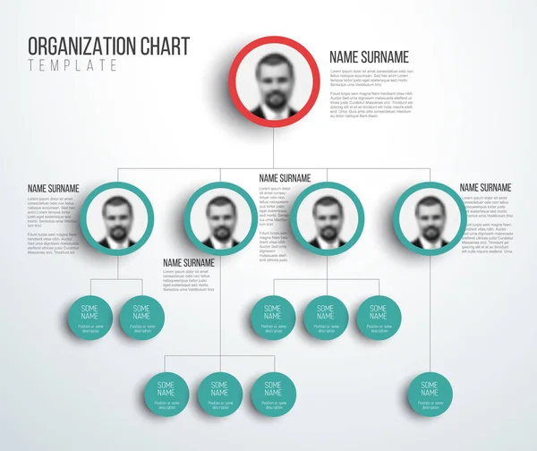 Gráfico de hierarquia minimalista com fotos — Vetor de Stock