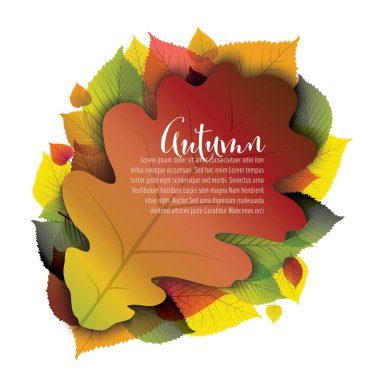 Sonbahar meşe yaprağı el ilanı şablonu