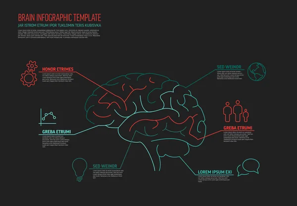 Multifunktionell infografisk mall med mänsklig hjärna — Stock vektor
