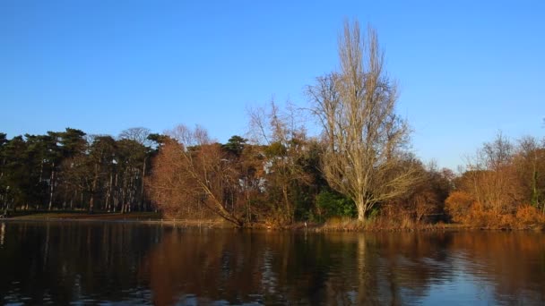 Jezioro z Bois De Boulogne w grudniu w Paryżu — Wideo stockowe